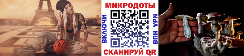 Галлюциногенные грибы Psilocybine cubensis  Купить  Ивангород 